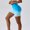 Seamless Yoga Fitness Shorts