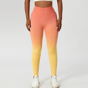 Ombré High-Waisted Seamless Yoga Leggings