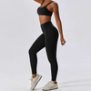 Luxe Fit Pro Seamless Yoga Set