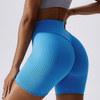 Seamless Yoga High-waist Quick-dry Shorts