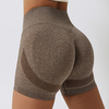 Seamless Yoga High Waist Biker Short