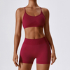 Seamless Workout Outfits Sets for Women