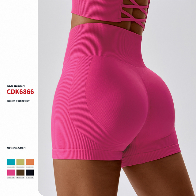 Seamless Rib Elastic Waist Bike Shorts